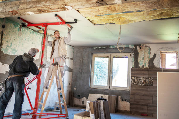 Best Insulation Repair Services  in Elkins, AR