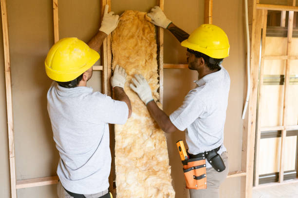 Best Insulation Contractor Near Me  in Elkins, AR