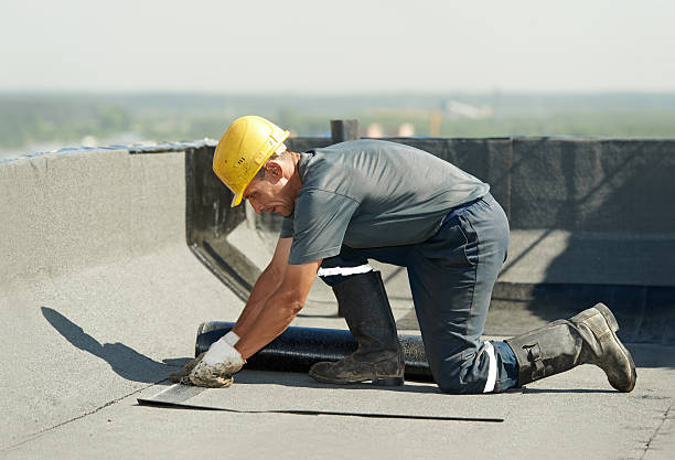 Best Insulation Contractors for Homes  in Elkins, AR