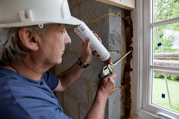 Best Insulation Replacement Services  in Elkins, AR